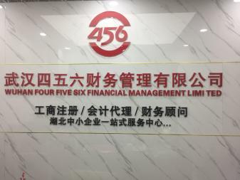 武漢稅務(wù)報賬咨詢與代理服務(wù)全解析